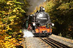 Weißeritztalbahn, 99 1793-1, Herbst an der Weißeritz, Einfahrt Rabenauer Grund