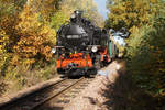 Weißeritztalbahn, 99 1793-1, Herbst an der Weißeritz, Obercarsdorf nach Naundorf