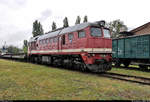 220 366-9 (120 366-0 | LTS M62) steht während des Herbstlokfests auf dem Gelände des Lokschuppen Staßfurt.

🧰 Eisenbahnfreunde Traditionsbahnbetriebswerk Staßfurt e.V.
🕓 26.9.2020 | 11:29 Uhr