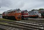 781 592 & Trommelbruder 120 198 am 30.05.26 zum Sommerfest beim TEV Weimar
