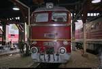 120 274-6 (DR V 200) DB steht anlässlich des Sommerfests unter dem Motto  Diesellokomotiven der ehemaligen DR  im Ringlokschuppen des DB Musems Halle (Saale).