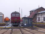 DB Museum 105 021-0 + 120 274-6 am 25.01.2020 im Eisenbahnmuseum Arnstadt.