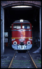 BW Dieringhausen am 5.11.1995: Durch das geöffnete Rundschuppentor war die  Taiga Trommel  120286 zu sehen.
