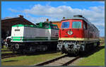 Zwei Diesellokomotiven der ehemaligen DR stehen am 02.04.2023 nebeneinander im Bw Staßfurt: Links die frisch revisionierte V100 003 aus Lutherstadt Wittenberg, rechts die 132 109-0 der LEG.