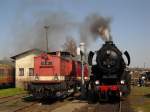 110 101-3 und 52 8047-4 konnte man zum BW-Fest am 17.04.10 in Nossen bewundern.
