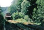 Unterwegs auf dem  Schsischen Semmering  ist 202 786 am 15.08.99. Hier zwischen Mittelndorf und Ulbersdorf. (KBS 248).