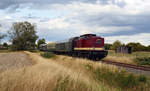 Am Nachmittag des 25.08.18 brachte 202 466 der SKL Umschlagservice ihren Sonderzug von Wörlitz zurück nach Klostermansfeld.