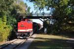 112 708 mit Fotogterzug am 16.10.2011 am HP Petriroda mit Holzbrcke im Hintergrund