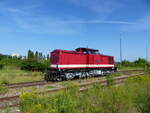 Die PRESS 112 565-7 ( 9280 1202 565-8 D-PRESS ) abgestellt im Holzbahnhof Gera am 9.6.2024