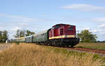 Mit dem Sonderzug aus Klostermansfeld erreicht 202 466 der SKL Umschlagservice Magdeburg am 25.08.18 den Bahnhof Wörlitz.