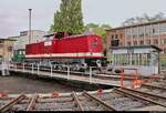 202 457-8 (112 457-7 | DR V 100) der Traditionsgemeinschaft Bw Halle P e.V. steht anlässlich des Sommerfests unter dem Motto  Diesellokomotiven der ehemaligen DR  auf der Drehscheibe des DB Musems Halle (Saale).
[25.8.2018 | 13:13 Uhr]