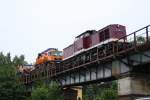 Am Morgen des 23.06.09 ist ein Arbeitszug beladen mit 2 LKW, mit 202 646-6 der Erzgebirgsbahn mit Reinigungsarbeiten an der Brcke nahe der Kirche in Markersbach beschfftigt.