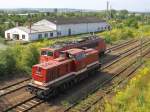 202 425-5 der LEG und 155 057-3 der DB machen am 22.8.2009 Pause in Nordhausen.