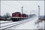 LEG 202 327-3 und 202 703-5 mit einem Kesselzug von Stendell nach Kiel am 20.01.2010 kurz vorm Abzweig Srg.