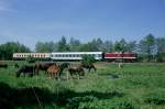 Aus dem Dia-Archiv: Die von Saalburg kommende 202 416, unterwegs mit RB8659 vor Schleiz West, am 29.05.1996.