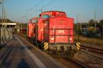 Lok 16 (202 453-7) & Lok 15 (202 822-3) von der WFL als LZ in Rathenow in Richtung Wustermark. 10.10.2010