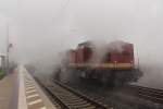 Nebel und der Dampf der 03 2155-4 lassen die 202 483-4 der WFL am 07.12.2014 in Nassenheide sofort aus dem Blickfeld verschwinden.