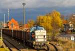 Nach dem Umsetzen der mit Rundhlzer beladenen Eaos fuhr der Zug in Richtung Pasewalk ab. - 07.11.2013