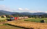 203 131-8 mit dem DGS 91200 (Heitersheim-Herbolzheim) bei Kollmarsreute 24.6.15