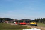 203 306, ex 202 752 der DB Netz Instandsetzung, mit FZT 56429 bei Riedles (20.02.2007)