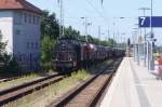 In der Woche 34  trafen in Hennigsdorf bei Berlin mehrere Zügen mit  Schotter  ein, so am 20.8.15 mit 203  148 (schwarz, vorn ) und 203 121 (rot).