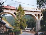 204 869 fhrt mit der Regionalbahn nach Lobenstein in Ziegenrck ber das groe Saaleviadukt. (26.7.95)