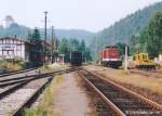 Am 26.7.95 setzte 204 869 in Ziegenrück um. (Blick nach Norden)

