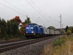 204 013 und 204 011 der PRESS sind mit einem Containerzug zusehen am 10.10.13 kurz vor Syrau/V.