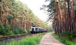 Die Gredl__Zeittypischer Personenzug auf der Strecke zwischen Hilpoltstein und Lösmühle.__04-06-1993