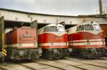 Diesellokparade im Bw hist. Arnstadt um 1990: 2 * BR 228 (V180) und 1 * BR 212 (V100)