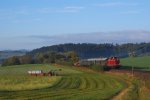 Nebenbahnathmosspre pur. 212 309 in der Steigung vor Frankenberg. 18.10.09