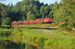 213 339 der Rennsteigbahn mit dem Holzzug von Parkstein-Hütten nach Torgau kurz vor Wiesau (Oberpf), 07.09.2013