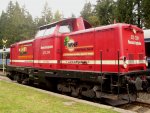 Diesellokomotive 213 339 von der RennsteigBahn, Bj. 1966 , 1350 PS , 64 t , steilstreckentauglich , am 03.10.2015 am Bahnhof Rennsteig!
An diesem Tag pendelte diese Lok mit ihren drei Donnerbüchsen zwischen  Themar/Thür. und dem Bahnhof Rennsteig ( 747m ü. NN )
1998 wurde auf dieser Steilstrecke der Personenverkehr eingestellt.
2003 wurde die Srecke privatisiert , Betreiber ist heute die RennsteigBahn mit Sonderzügen.

