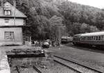  Großer Bahnhof  in Herzhausen/Edersee im September 1980. E 3203 mit dem kuriosen Zuglauf Buchholz/Nordheide - Friedberg war quasi einer der Nachfolger des legendären  Heckeneilzuges  Bremen - Frankfurt, der die Strecke Brilon Wald - Marburg in fast gleicher Zeitlage befuhr. Er kreuzt hier den sonntags im Herbst regelmäßig verkehren Sonderzug Frankenberg - Oberhausen.