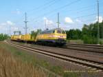 216 012 der WIEBE durchfhrt am 25.07.08 mit einem Gleisbauzug Muldenstein Richtung Bitterfeld.