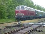 V 160 003 in Zarrentin zum Bahnhofsfest 