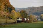 216 224 am 22.10.2010 mit Gterzug bei Eckelshausen