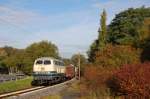 216 224 am 22.10.2010 mit Gterzug bei Friedensdorf (Dautphe)