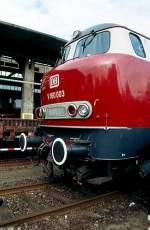 Das Gesicht der Lollo.