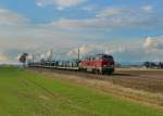 216 224 mit einem leeren Autozug am 07.03.2016 bei Strasskirchen. 