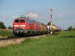 217 019-9 und eine Schwesterlok bei Pirach am 30.7.07