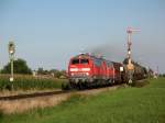 217 016-5 und eine Schwesterlok bei Pirach auf der Fahrt Richtung Mhldorf am 30.7.07