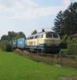 217 014 am Zugschluss vom Wackershuttle, 28. August 2009 bei Heiligenstatt.