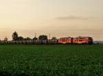 217 019 und eine Schwestermaschiene bespannten am 09.08.2010 den Kohlezug gen Landshut.