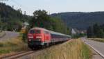 217 012-4 mit dem DLr 25512 (Stuttgart Hbf - Donaueschingen) bei Oberndorf 27.6.14