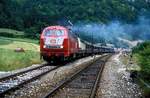 218 286 + 218 302  Hausen im Tal  29.07.87