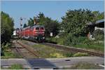 Mit der DB 218 435-8 erreicht der RE 27661 von Laupheim West nach Lindau Hbf Nonnenhorn.