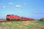 218 319 + 218 313, Dreieckskoog, 04.05.2010.
