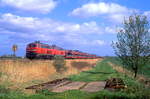 218 363 + 218 342, Südergotteskoog, 04.05.2010.