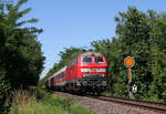 218 484-4 mit dem RE 12021 (Neustadt(Weinstr)Hbf-Karlsruhe Hbf) bei Winden 29.6.19